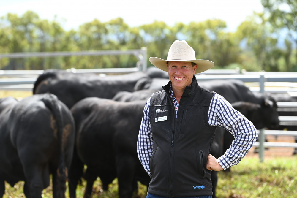 Stephen Pearce from Telpara Hills is looking forward to their upcoming bull and female auction sale next weekend.