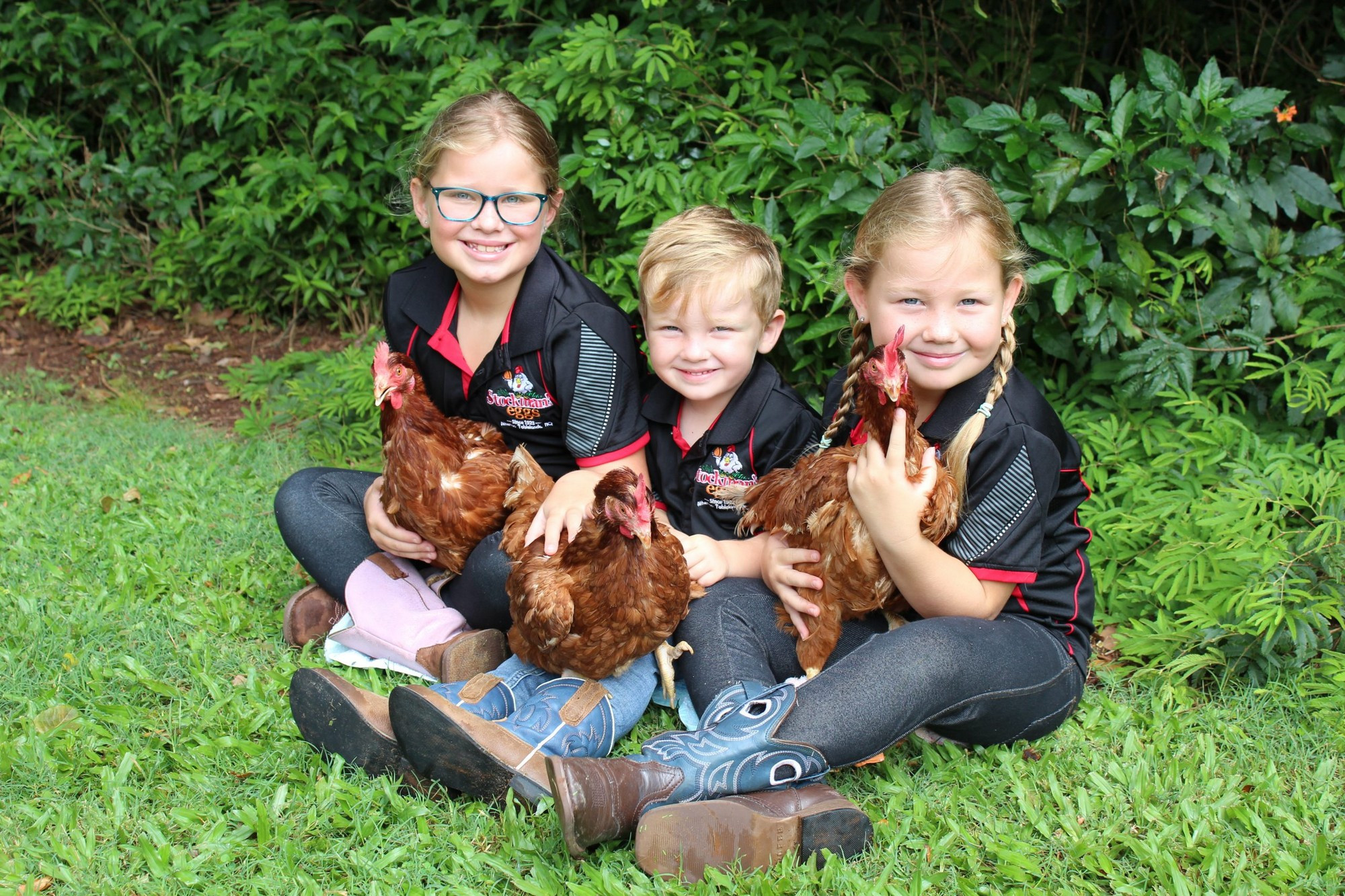Backyard chicken owners reminded to wash their hands. - feature photo