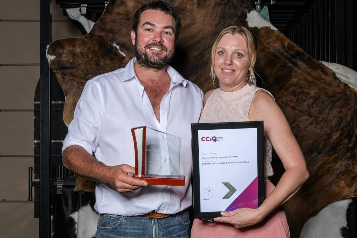 Businesses on show at awards - feature photo