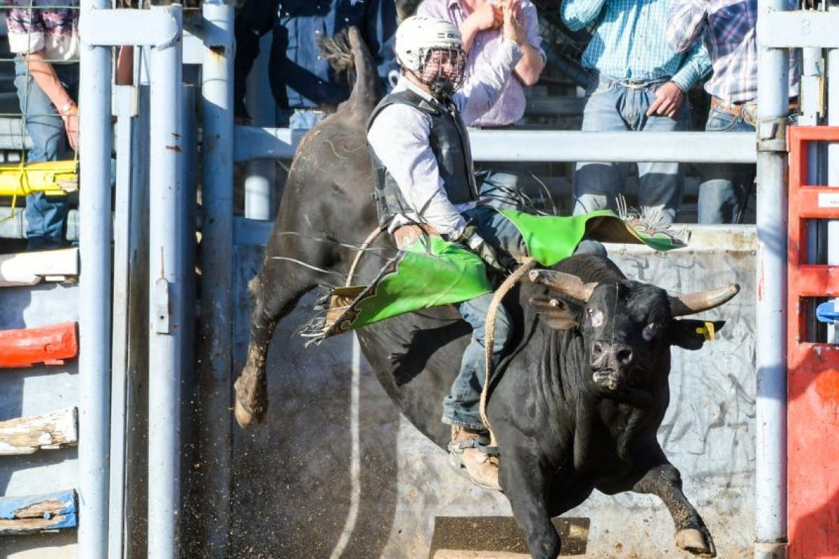 The 70th annual Mareeba Rodeo begins - feature photo