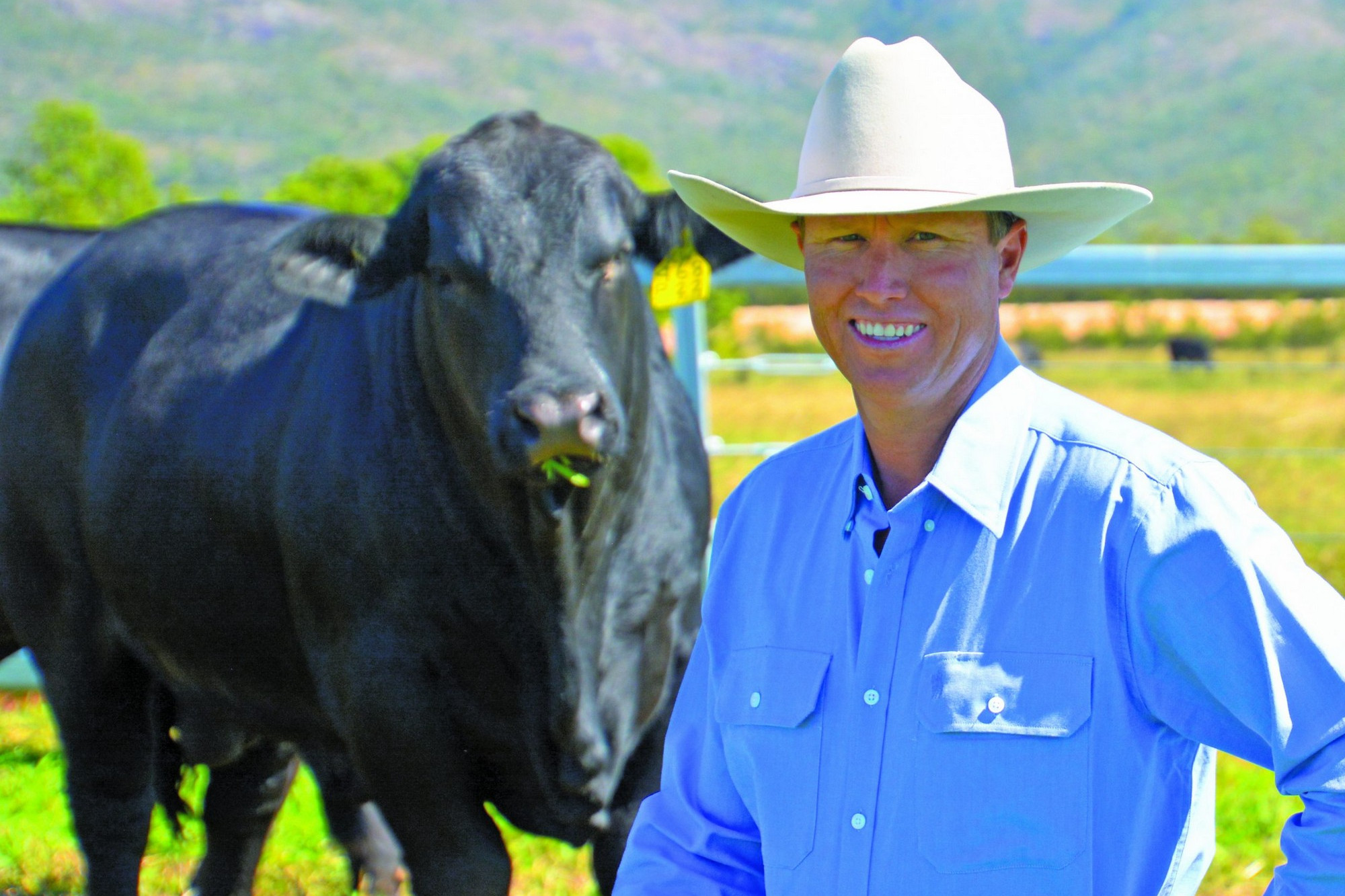 Top Stud looking forward to Beef Open Day - feature photo