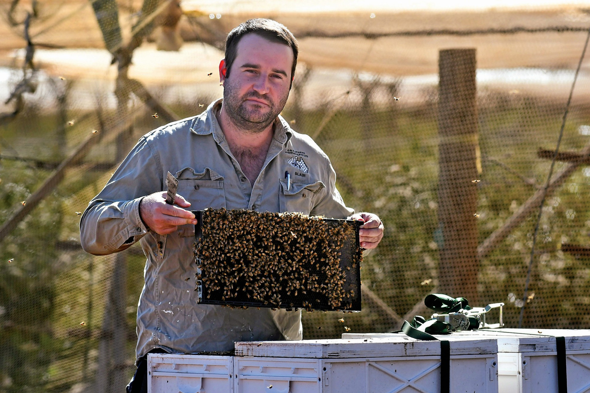 Queensland beekeepers warn that crops could fail. - feature photo