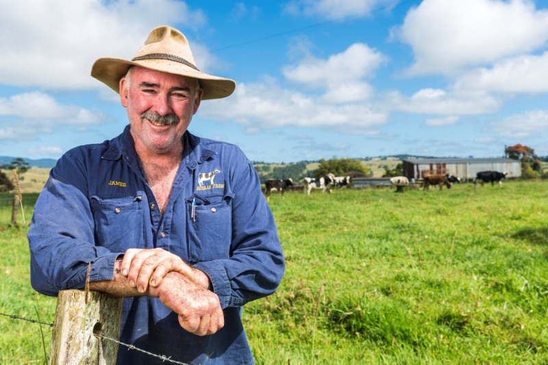 Drought threatening to cripple dairy industry - feature photo