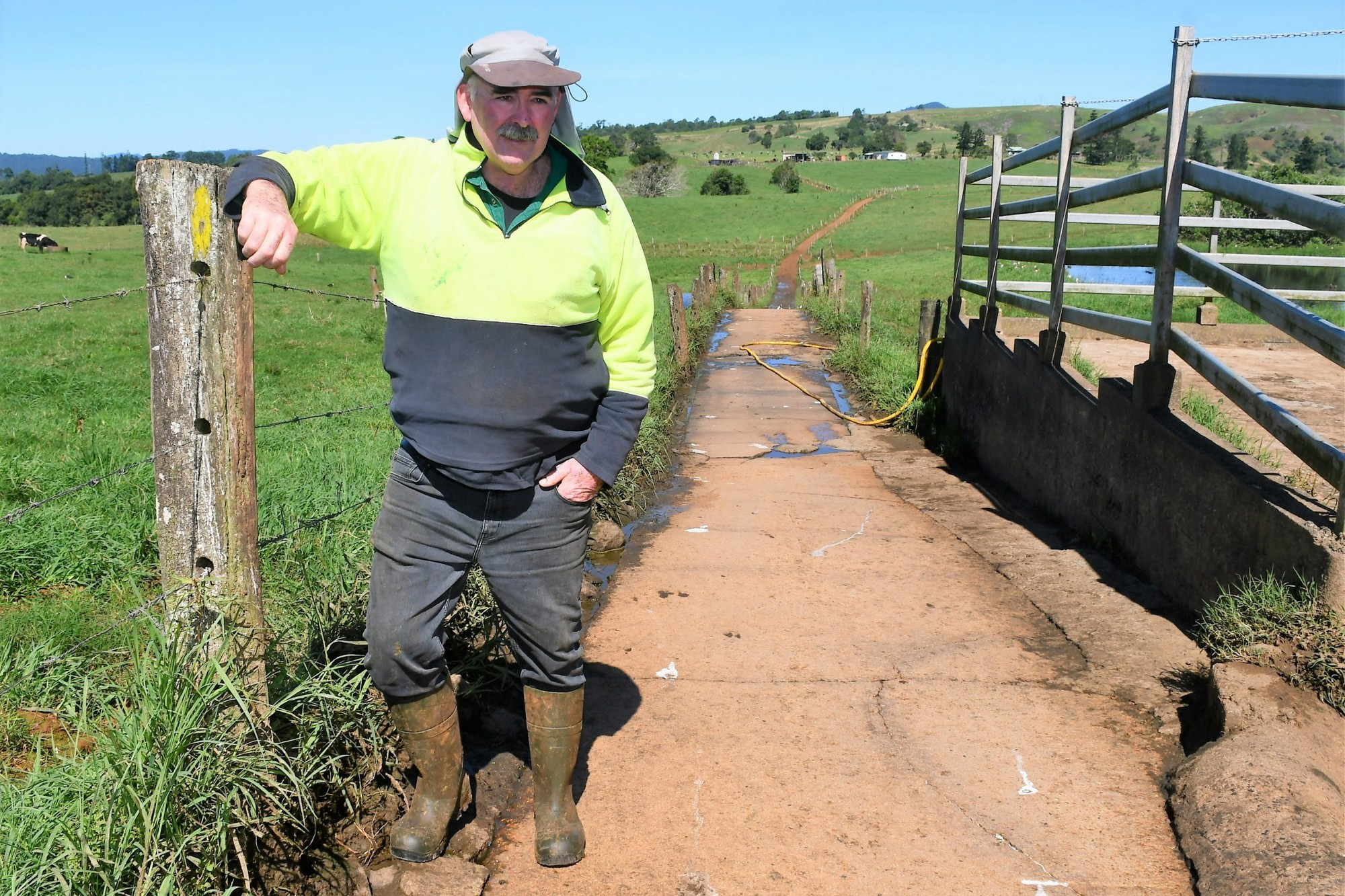 Australian buyers eyeing off Dairy Farmers. - feature photo