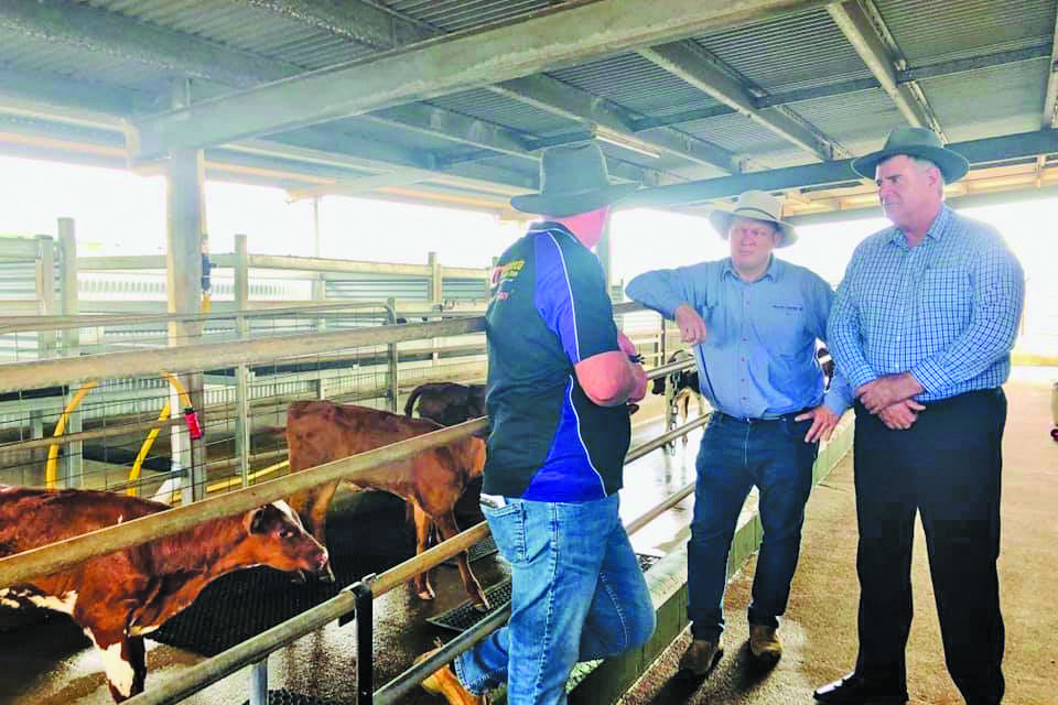 Minister visits Tablelands to help combat dairy crisis - feature photo