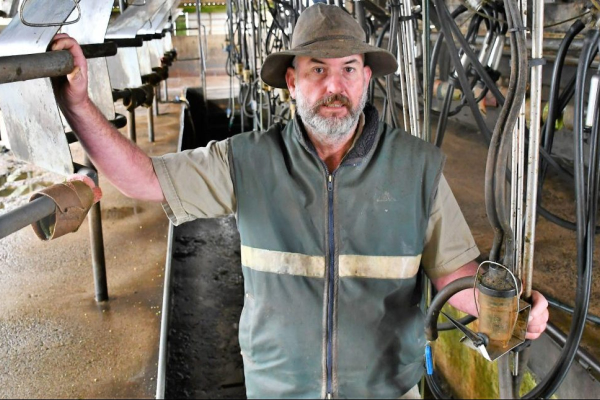 Dairy industry reaching desperation stakes - feature photo