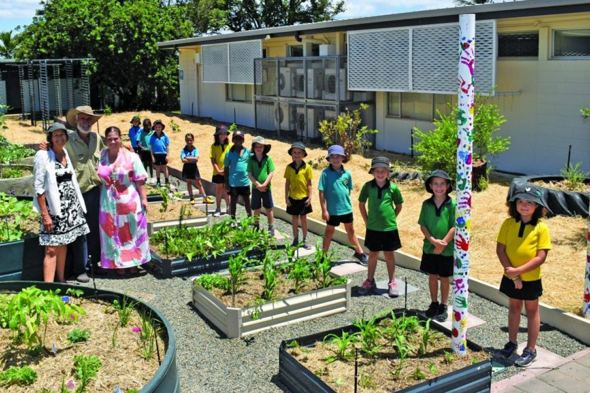 Community garden comes to life at school - feature photo