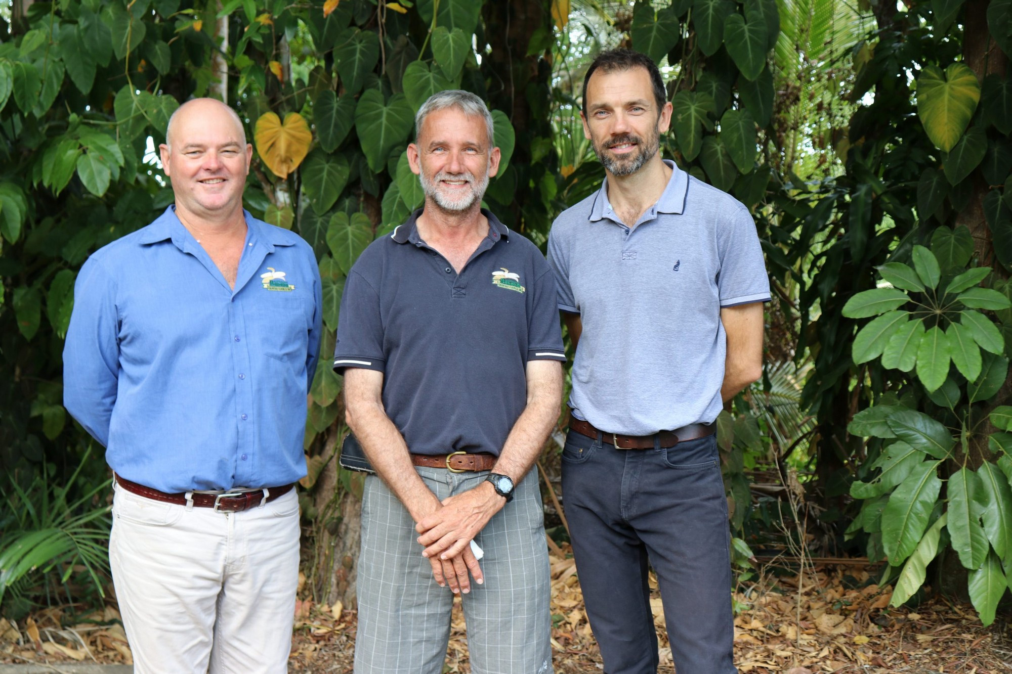 Tablelands grower elected to banana industry board - feature photo