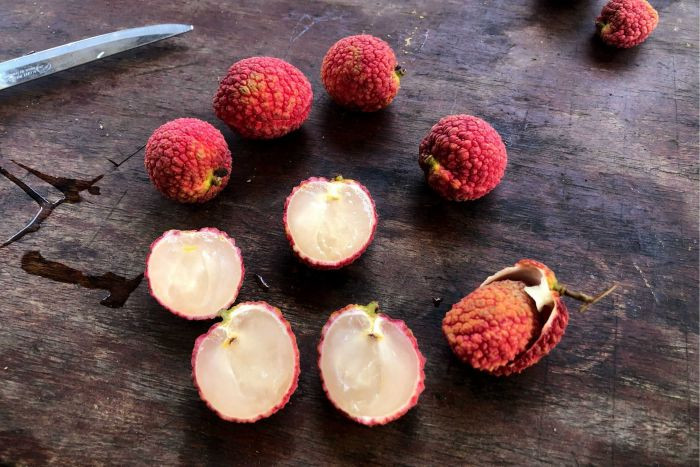The holy grail of Lychees. - feature photo