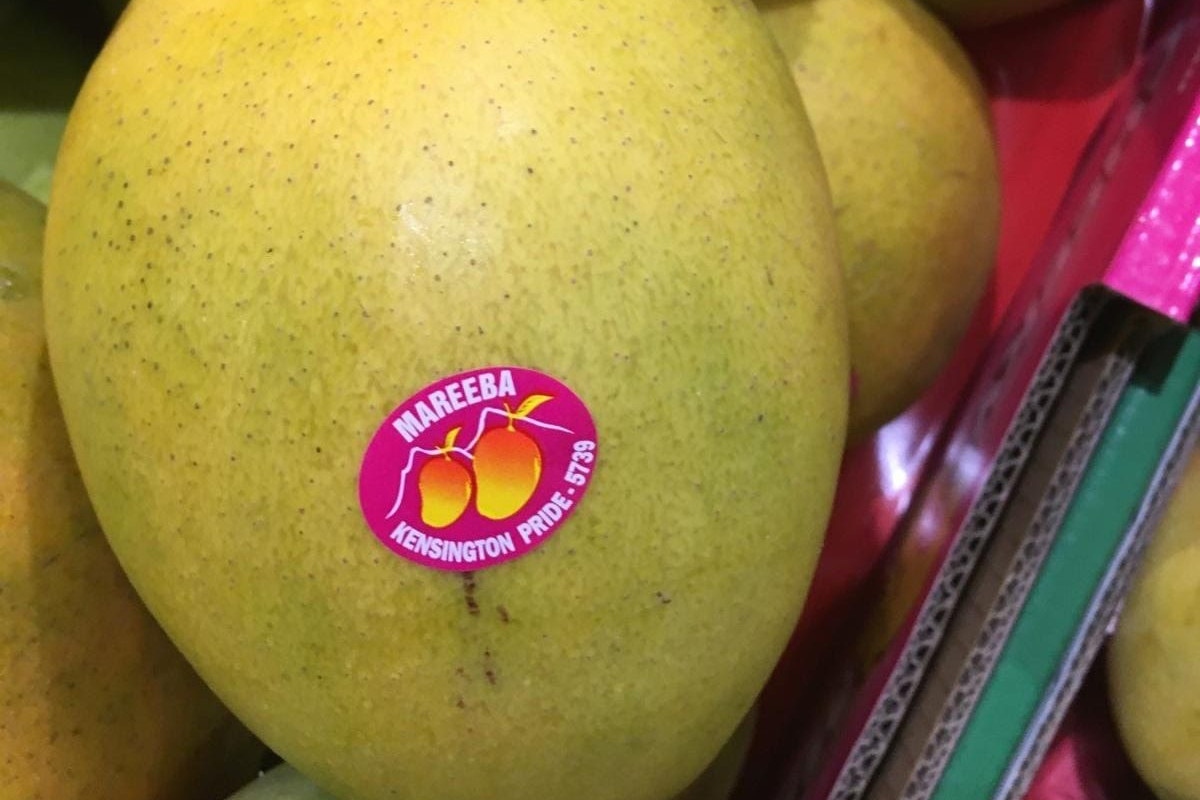 False Mareeba mangoes for sale - feature photo