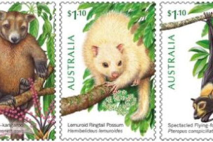 Stamp of approval for our Wet Tropics tree dwellers - feature photo