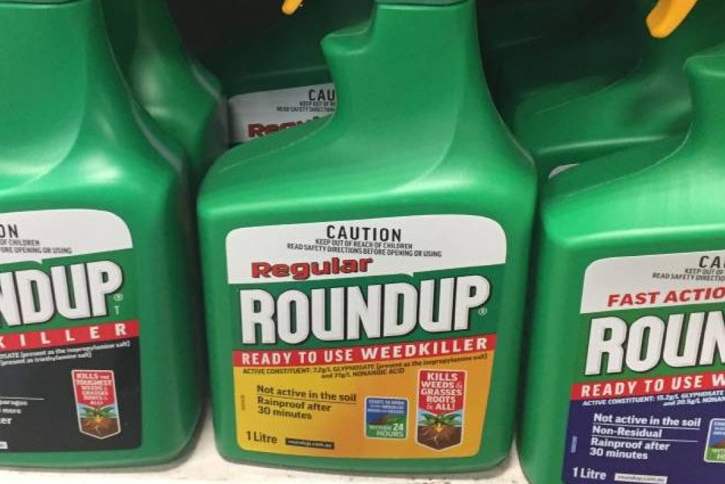 Round up on RoundUp - feature photo