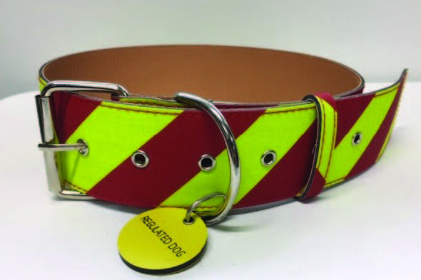 New collars for regulated dogs - feature photo