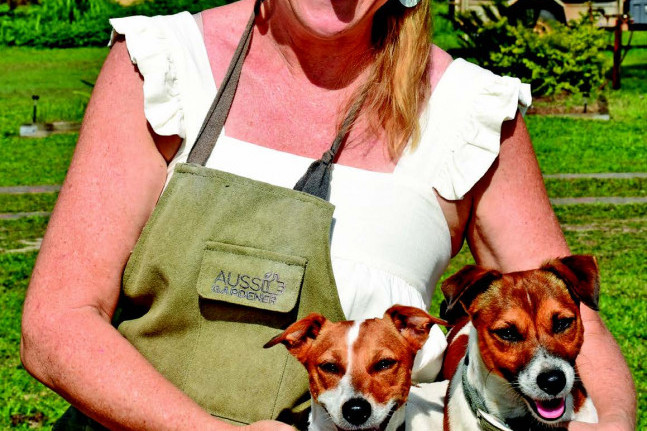 Karin “Kaz” O’Reilly with her Jack Russell’s Millie and Rexy in their dragon fruit plantation at their hobby farm in Speewah.