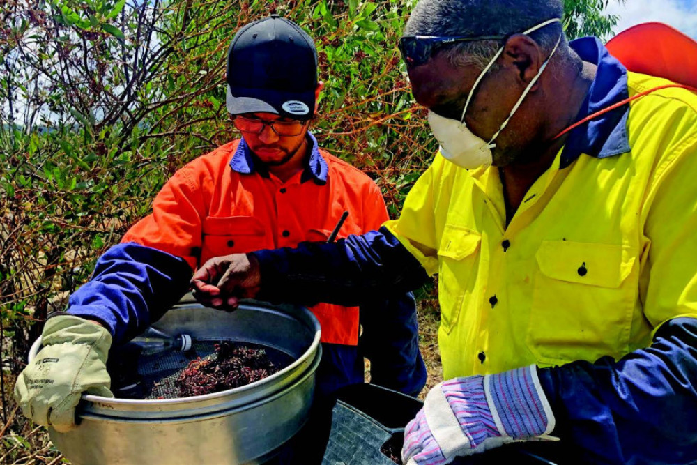 Remediation works planned for abandoned tin mine site - feature photo