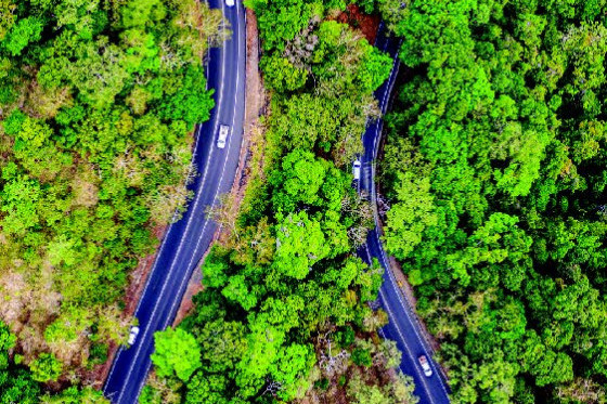 The Kuranda Range Road will remain as it for at least the next 30 years, according to a report released last week. PHOTO: BK MEDIA.