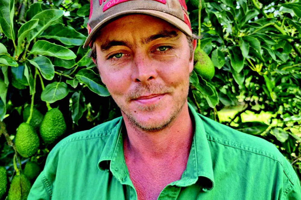 After generations of potato and avocado growing, Brad Jonsson and his family have diversifi ed into cotton.