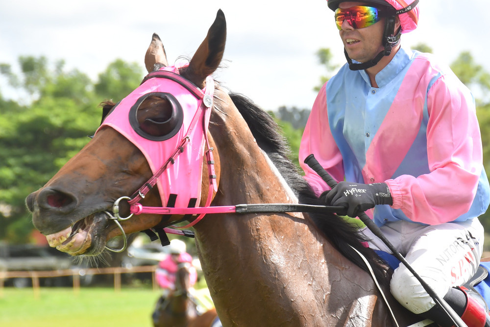 Big Malanda Cup race day is on - feature photo