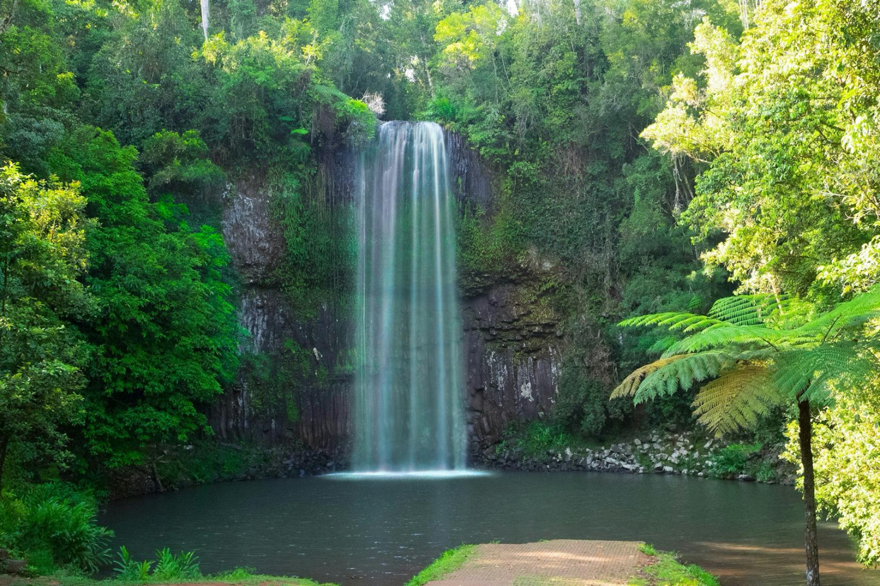 Millaa Millaa Falls are a valuable natural asset to the town's economy.