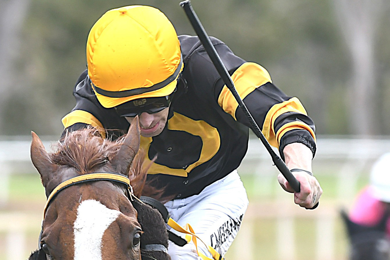 Mareeba Turf Club Races - feature photo