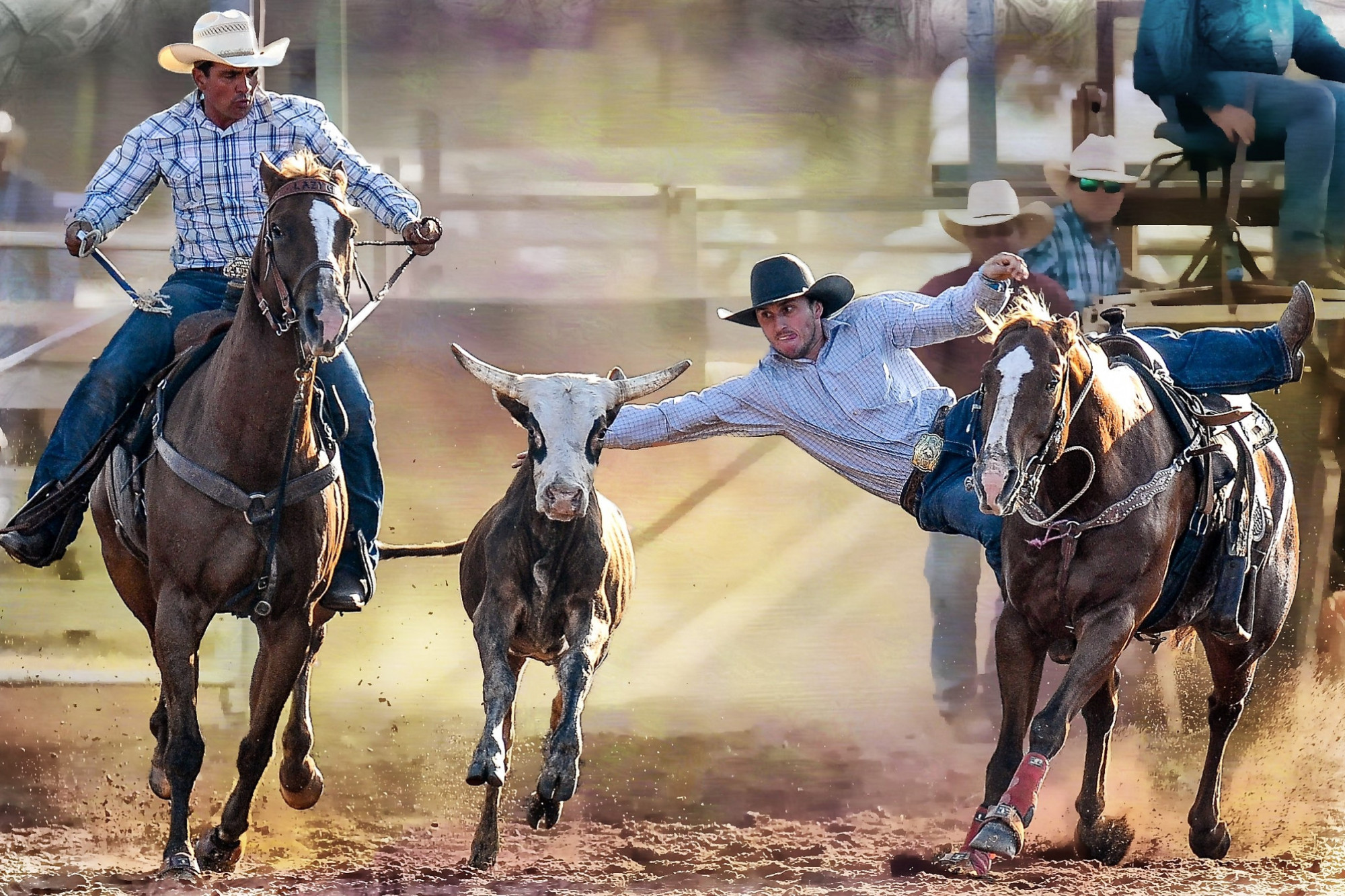 The Mt Garnet Races and Rodeo is set for this May long weekend