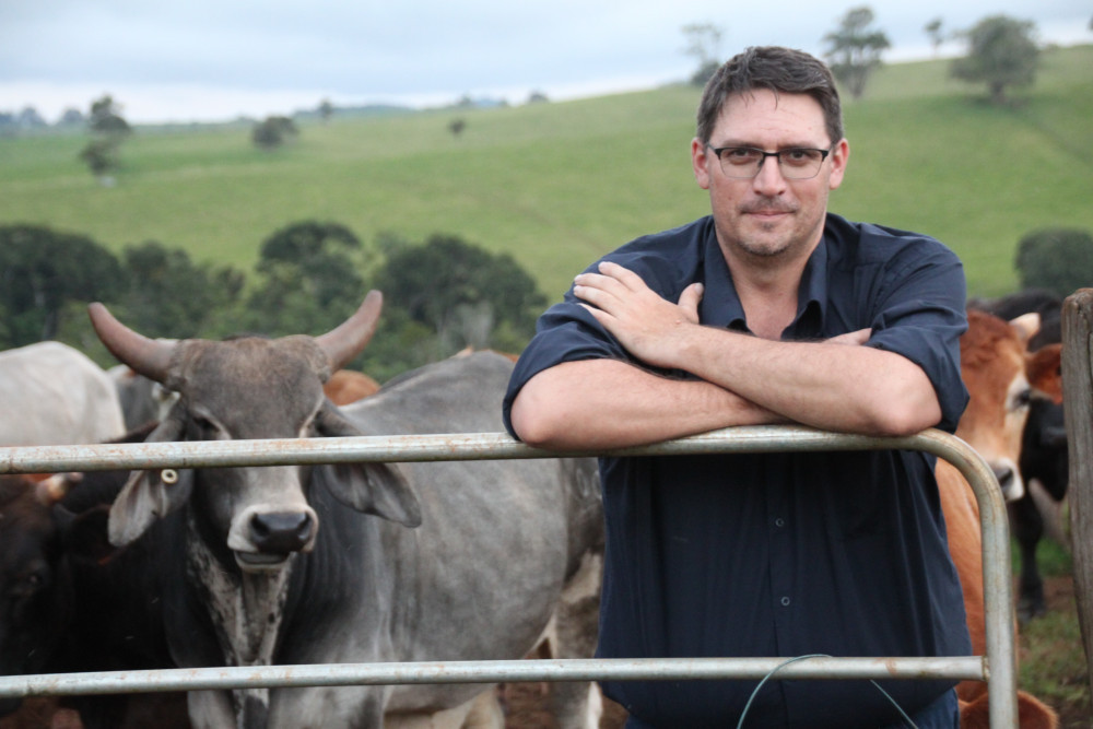 Even with current cattle prices making it harder for a cattle trading operation to operate, Trevor Petersen and his family are doing well on their Malanda farm.