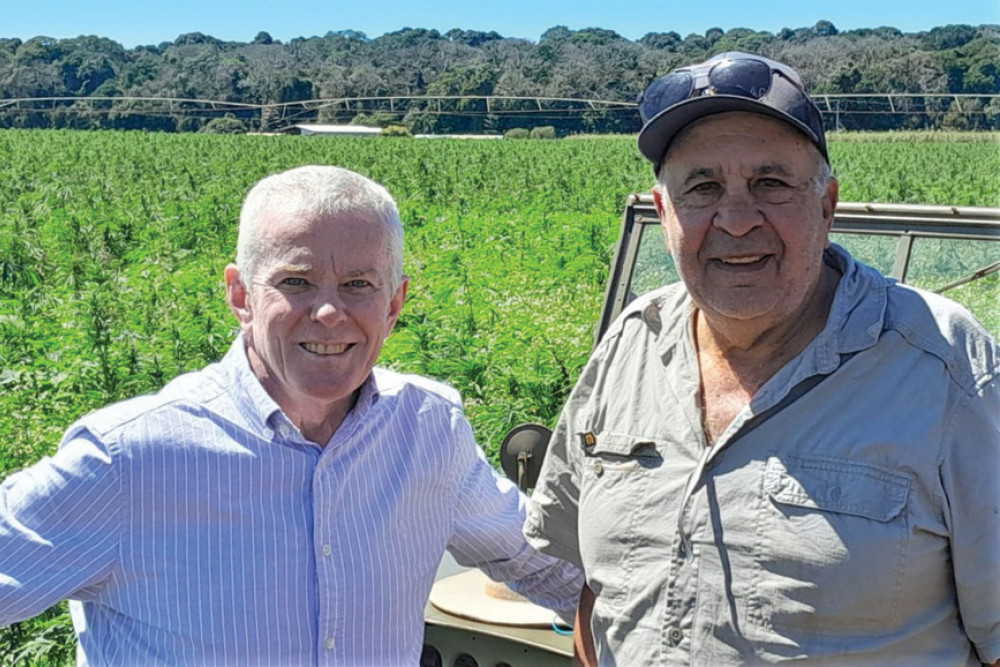 Senator Malcolm Roberts with Tolga farmer Joe Trimarchi of Redhill Farming and the property’s hemp crop which attracted the Senator’s interest.