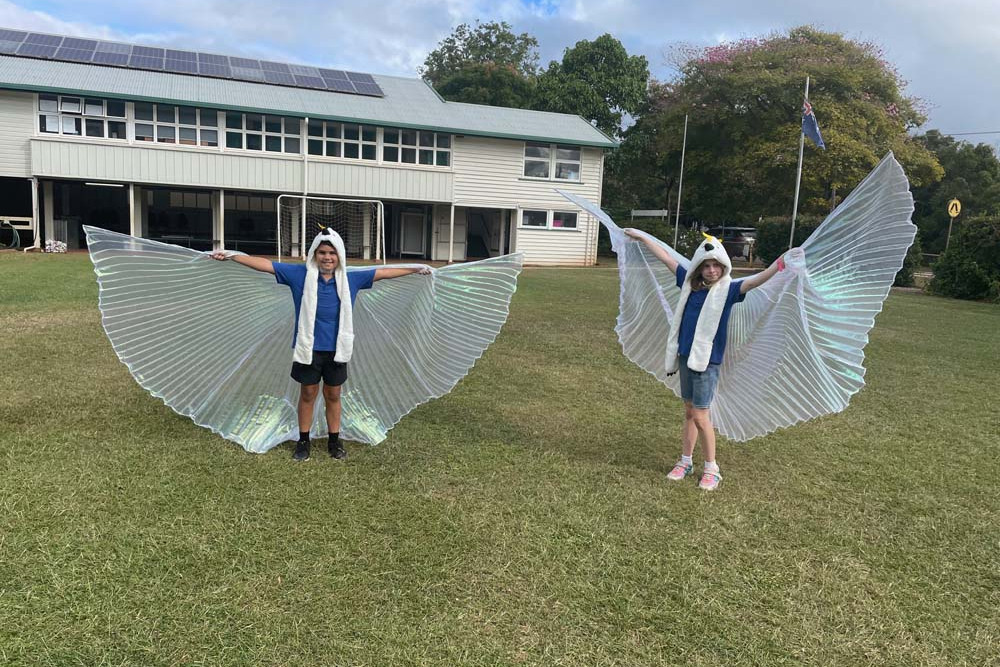 Students involved with the project “spread their wings” and embraced all things birds.