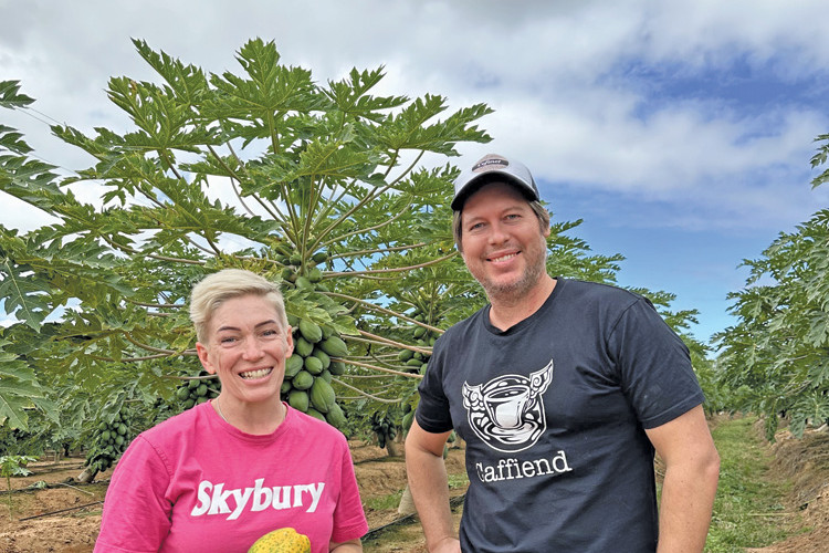 Skybury Farms general manager Candy MacLaughlin and Cairns restauranteur Oliver James from Caffiend and Guyala check the crop in readiness for Papaya Week.