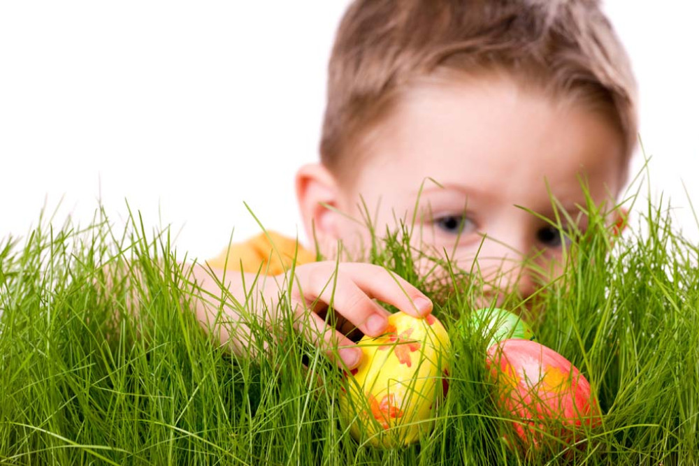 Let the Easter hunt begin - feature photo