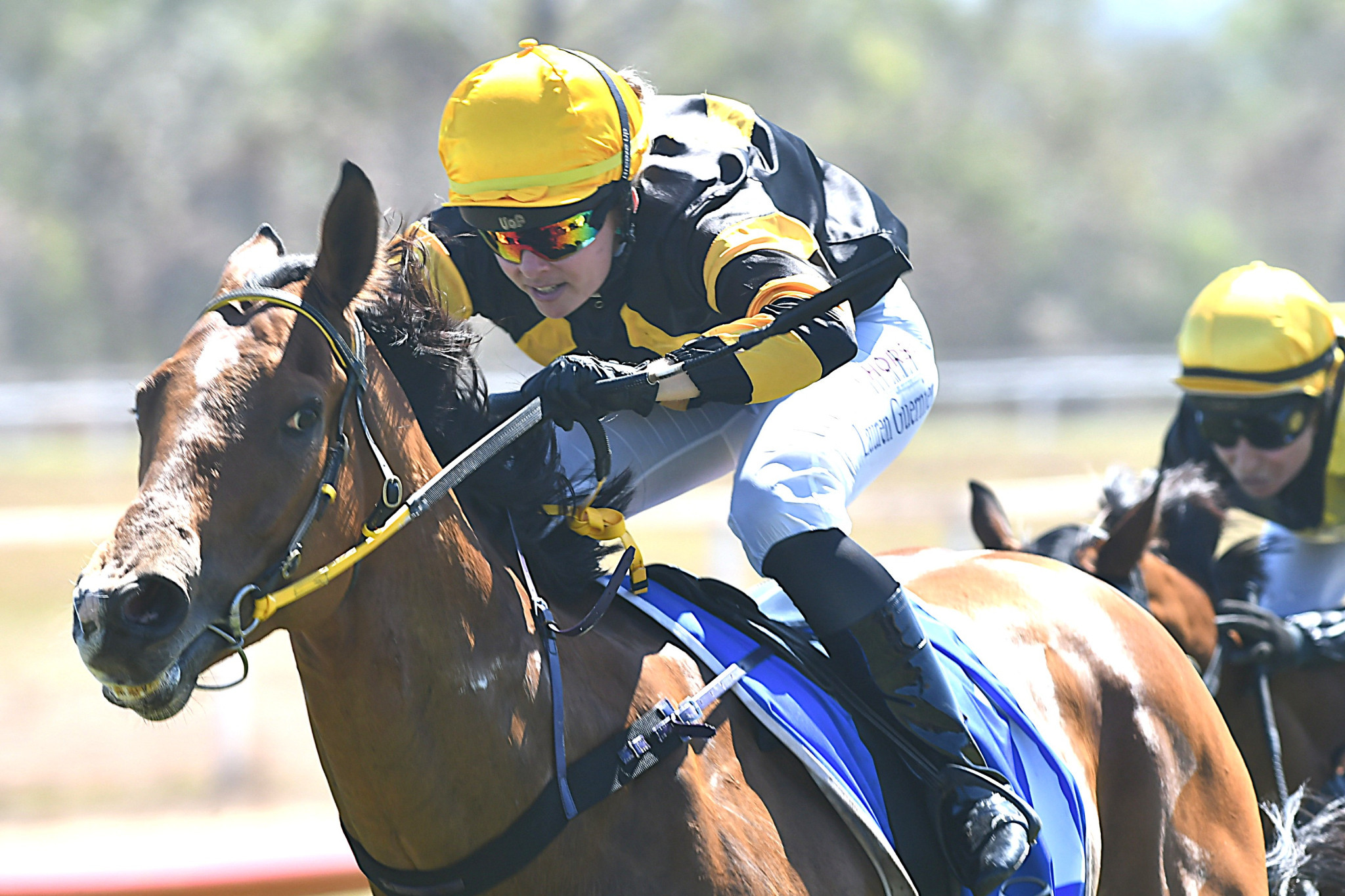 Mareeba Annual Races results - feature photo