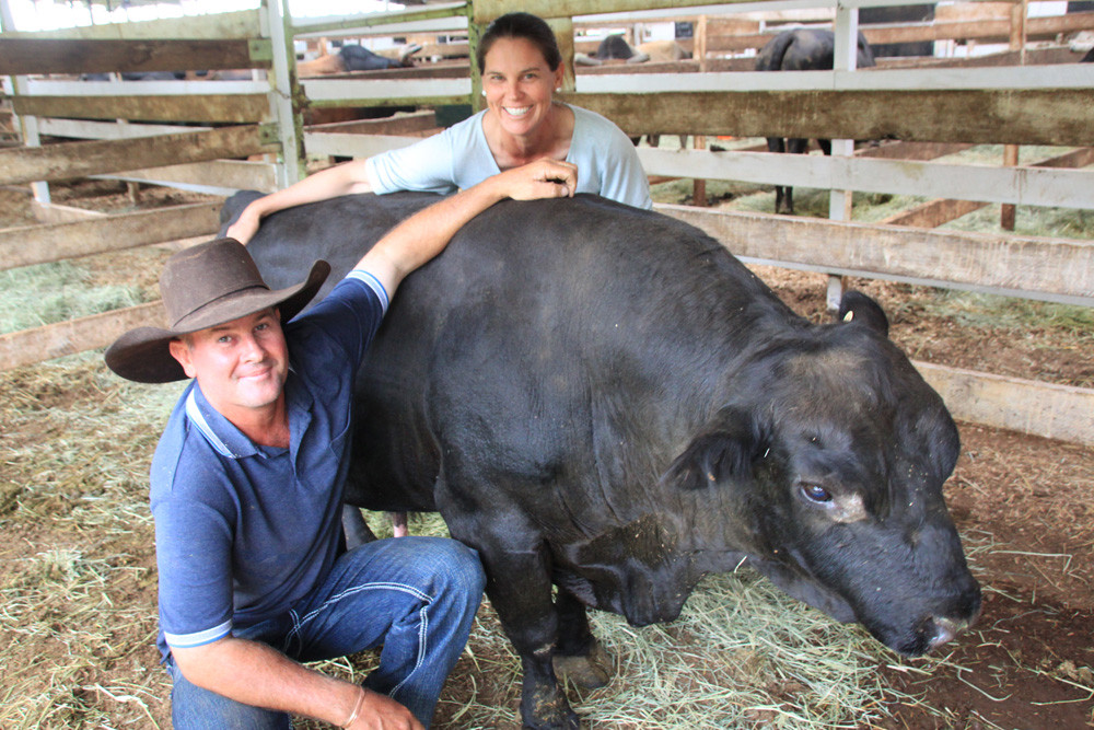 Leslie and Rebecca Lamont, look in on "Robbity Bob," the pure bred Dexter bull they bought in Bundaberg for their mini-bull bucking team.