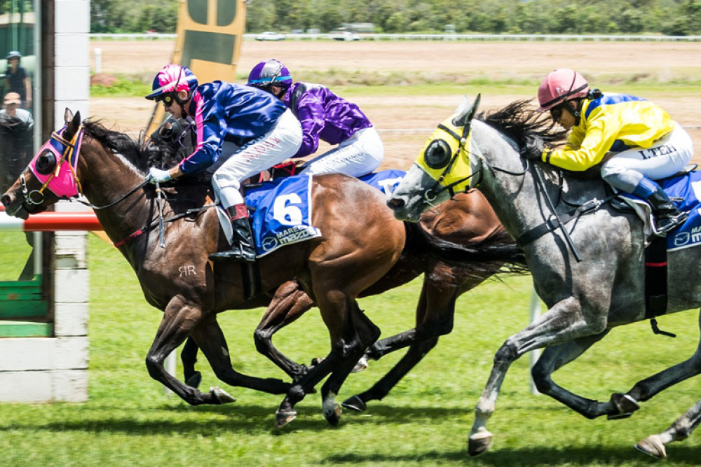 St Patty’s Day races success in Mareeba - feature photo