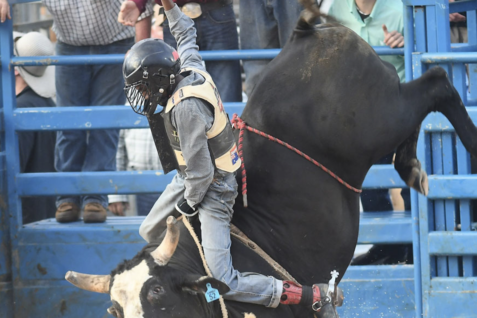 Best of bull riding returns to Malanda - feature photo