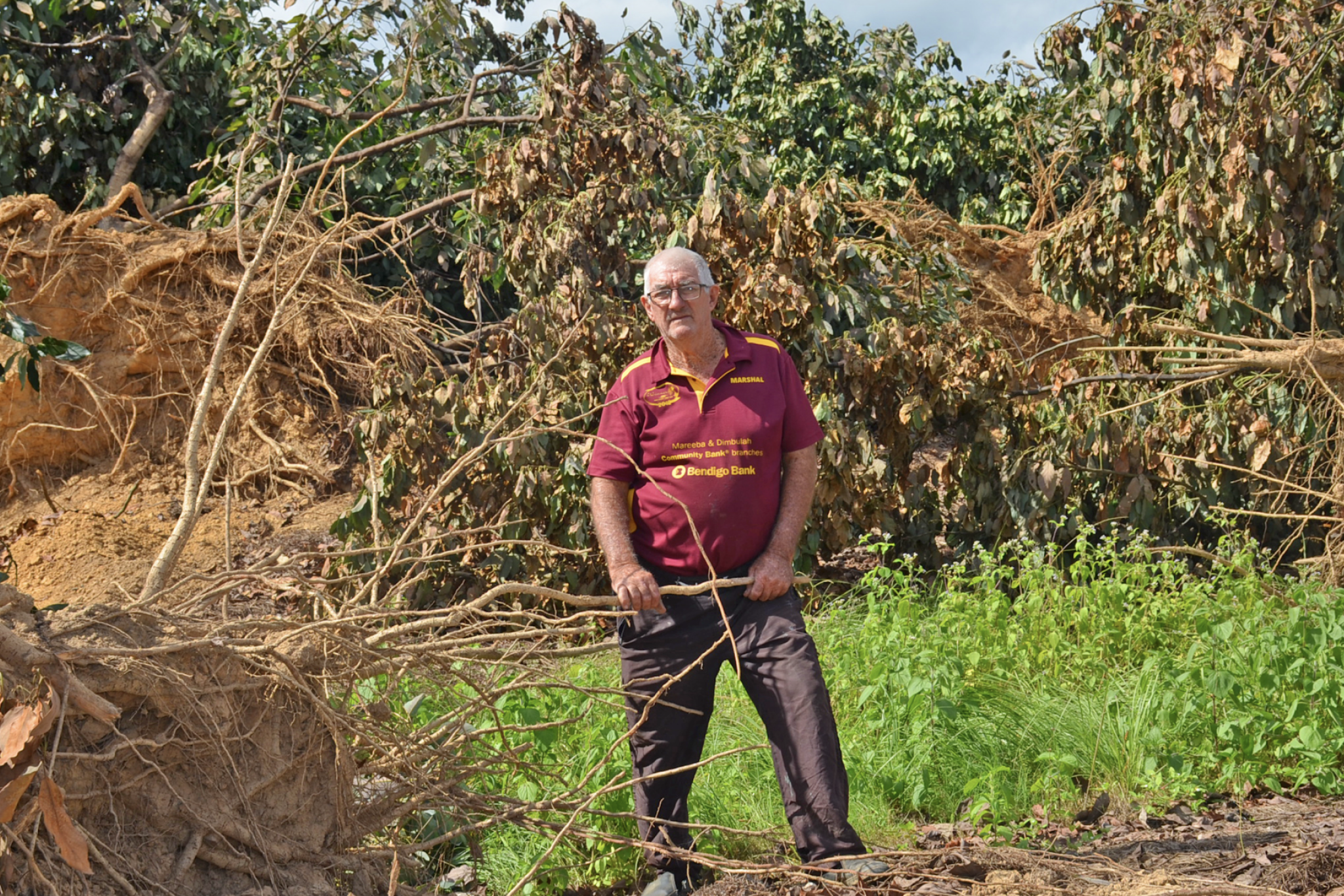 Mareeba farmer Ron Blundell with some of the mature avocado trees on his property being bulldozed.
