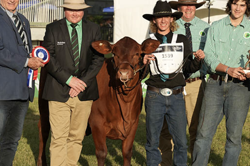 Winner of the Senepol Grand Champion female at Beef 2024 Pinnacle Pocket SPKT30323 “Winnie” with her entourage including Pinnacle Pocket Stud Principal Peter Spies (second from right) and his son Thomas (right).