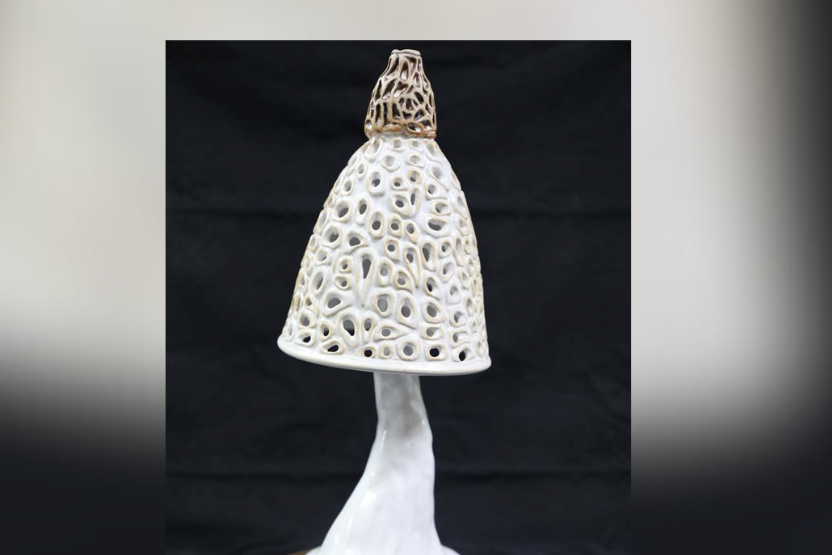 Veiled Lady is one of several pieces that will be on display at Tablelands Regional Gallery from 2 July to 10 August.