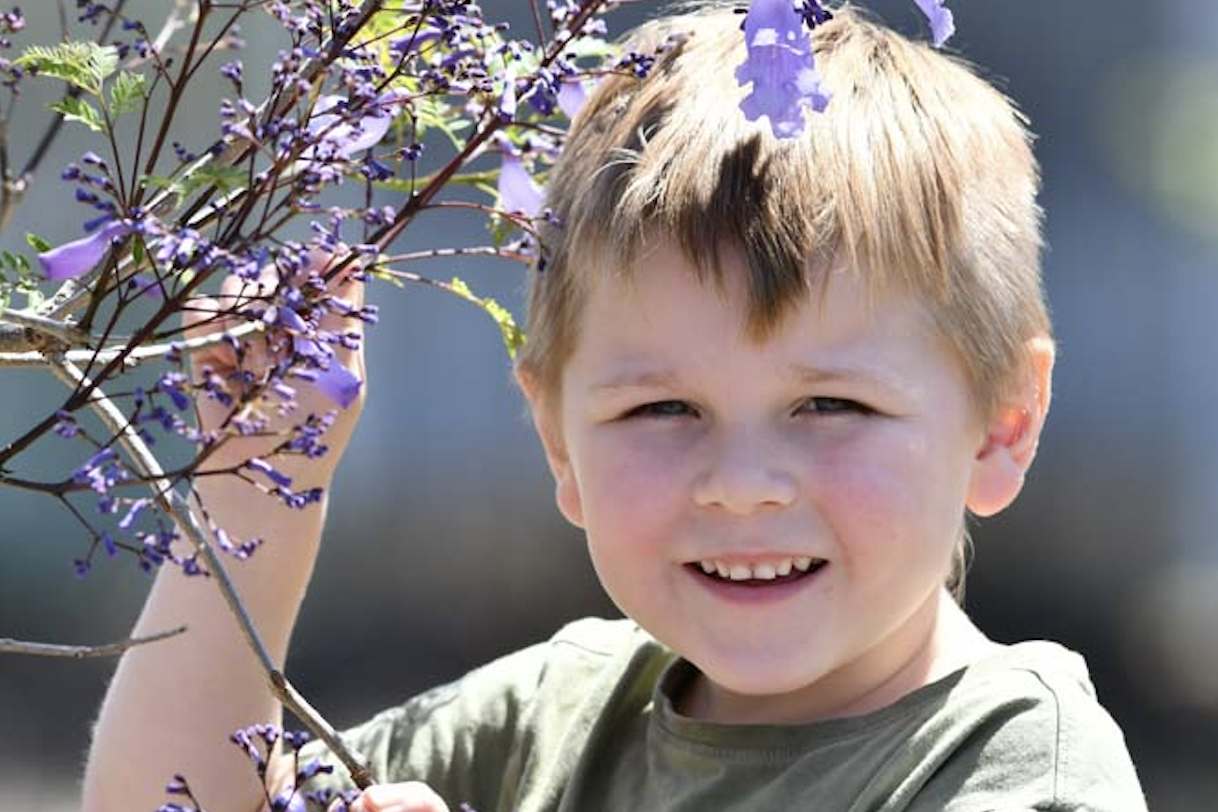 Will Fitzgerald enjoyed the jacaranda flowers at last year’s festival.