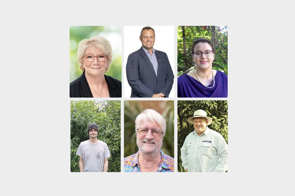 THE LAST WORD HILL ELECTORATE - feature photo