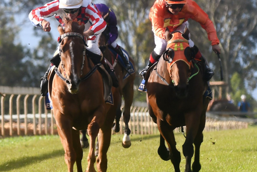 Country racing returns to the Atherton Turf Club this Saturday for the annual Atherton Cup.