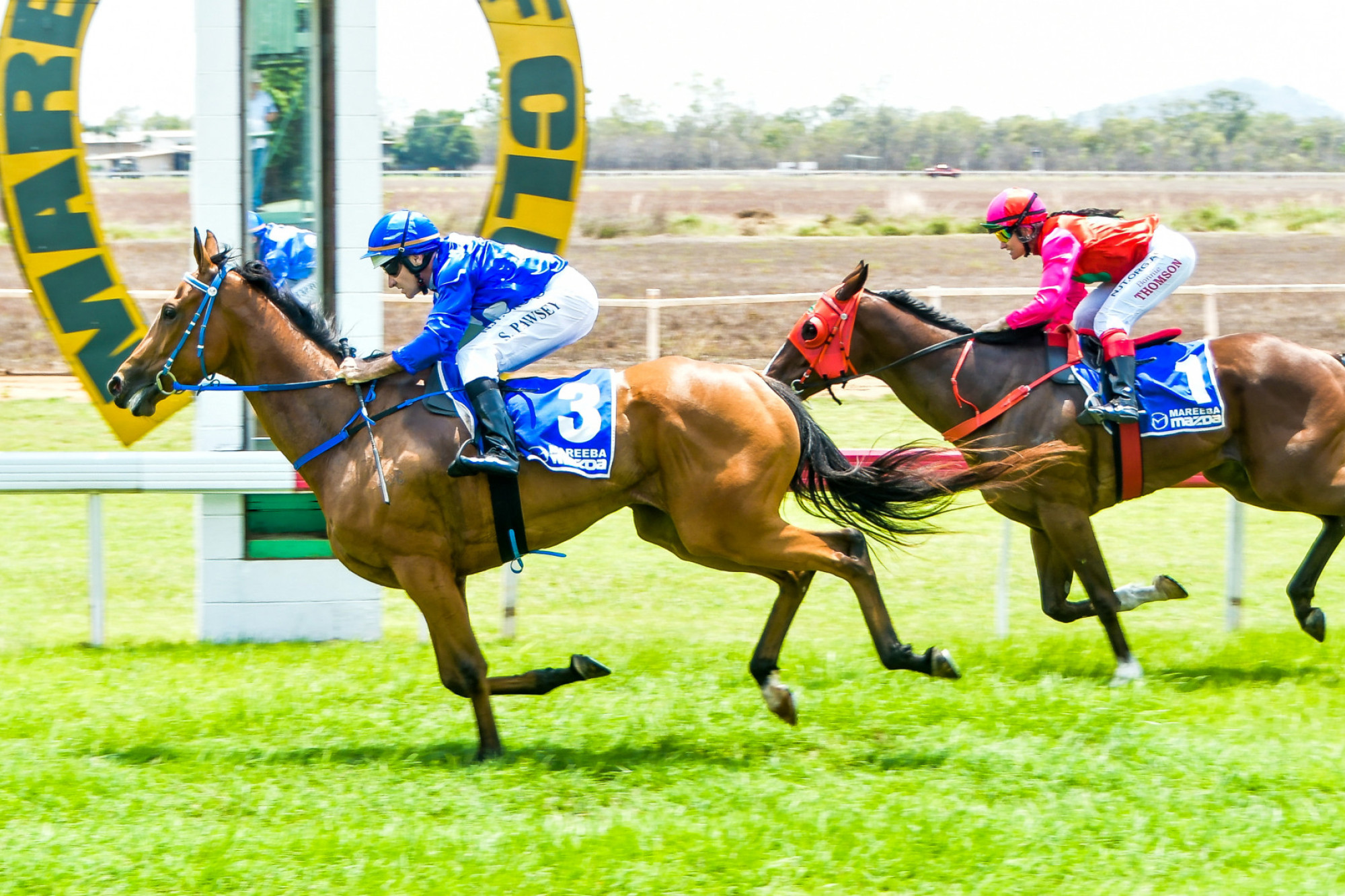 Boxing Day Races on again - feature photo