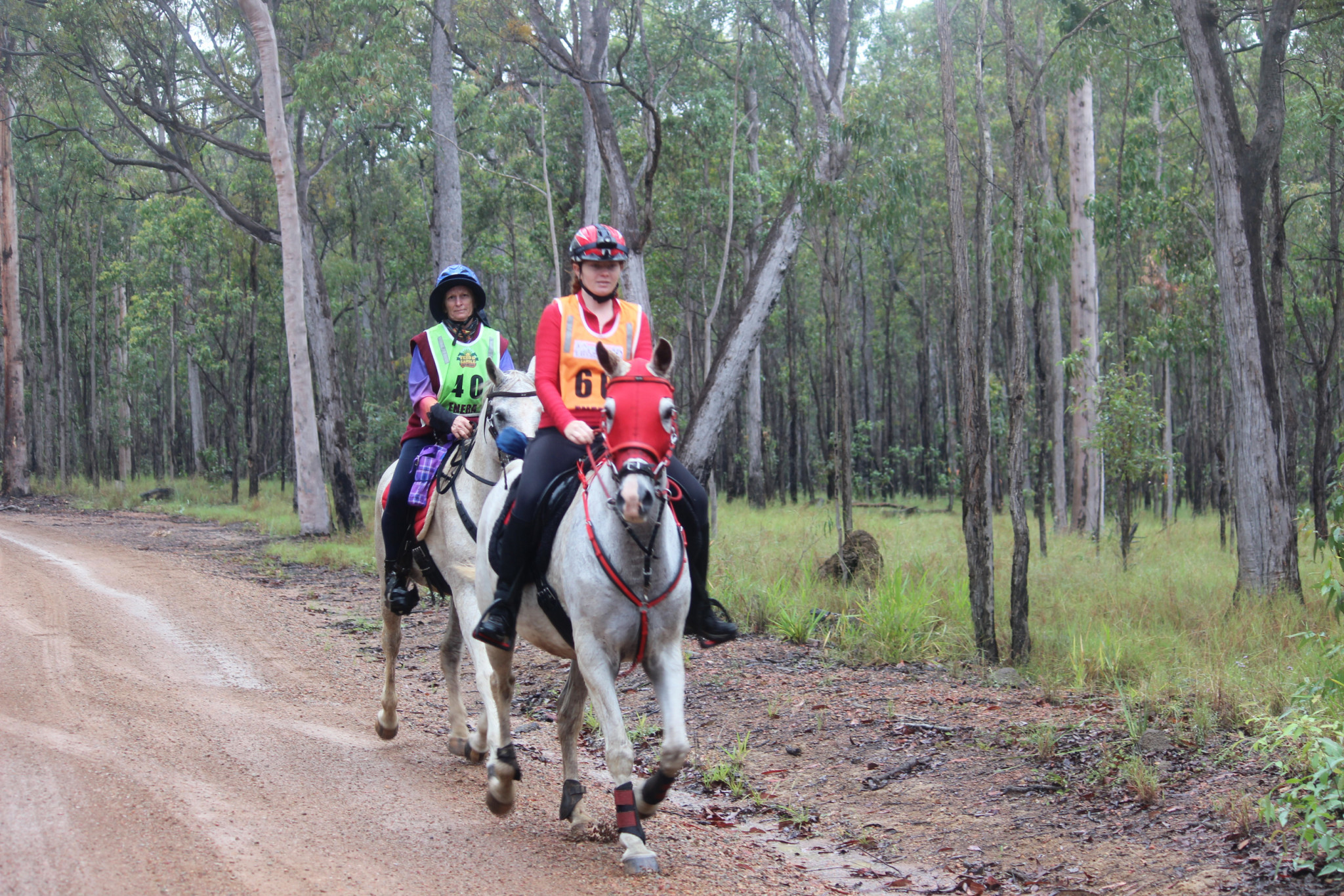 Grace Zagata (front) riding Bellarine Pilgrim and Yvette Walsh riding Warabong Silver Sameer.