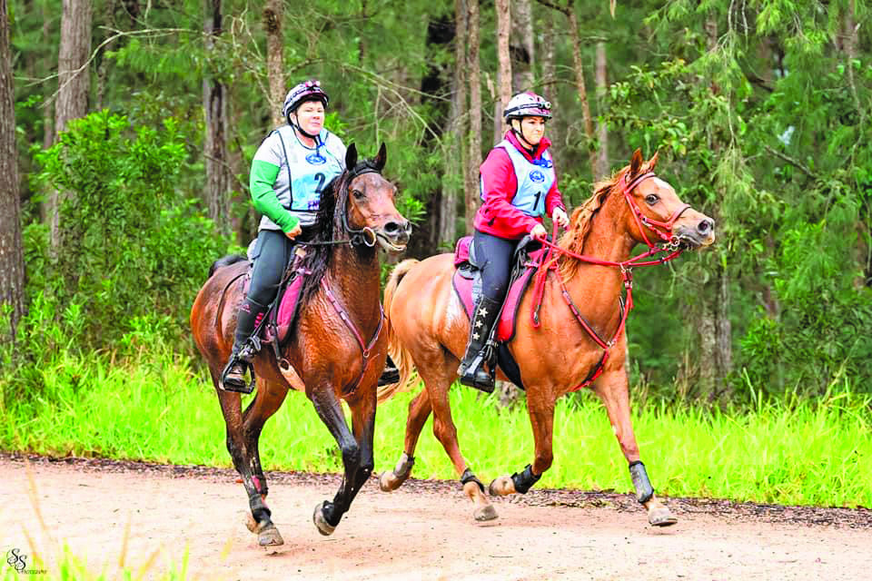 Far North Endurance Riders Association riders Briony Ledingham on Brynjell Phoenix and Kristie Sheehan on Jensems Coco Couture during the club’s recent Pioneer Trek Marathon 400km event. PHOTO CREDIT: Sarah Sullivan Photography.