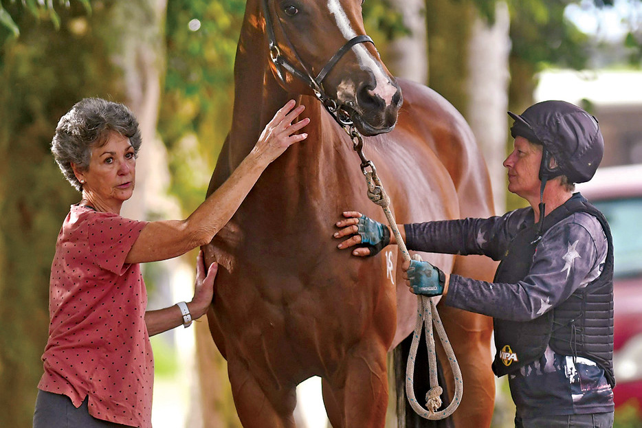 Trainer Janel Ryan and track work rider Leanne Buckingham with Fast Train are ready for the Country Cups Challenge this weekend.