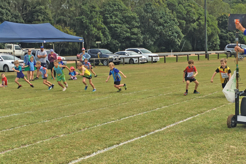 Boys in the 7 Years category start off their 80-metre sprint race at the Tablelands Athletics Pentathlon over the weekend.