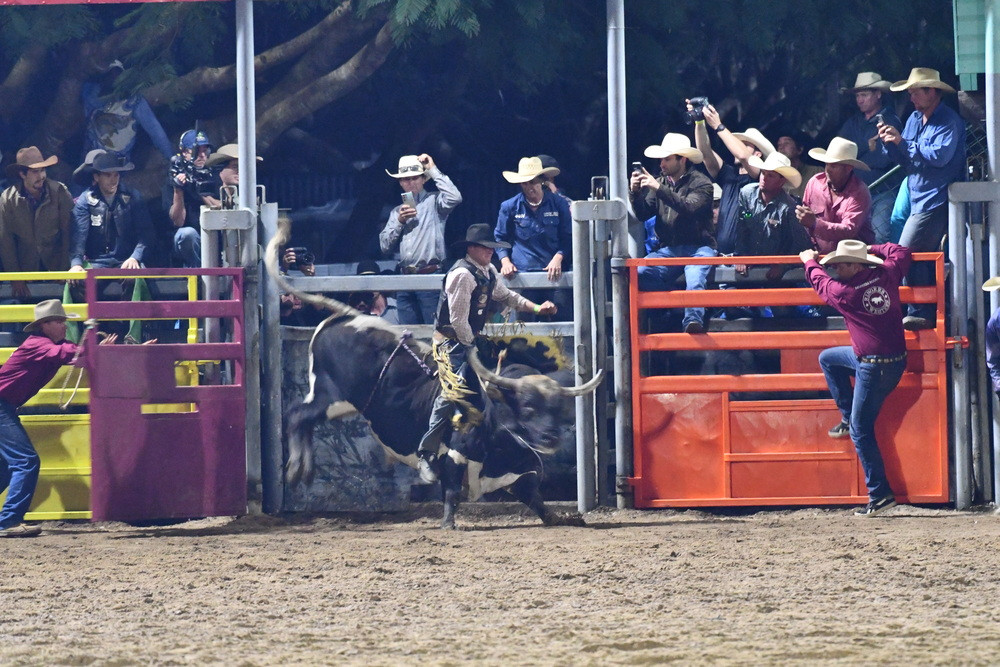 Mareeba Rodeo results - feature photo