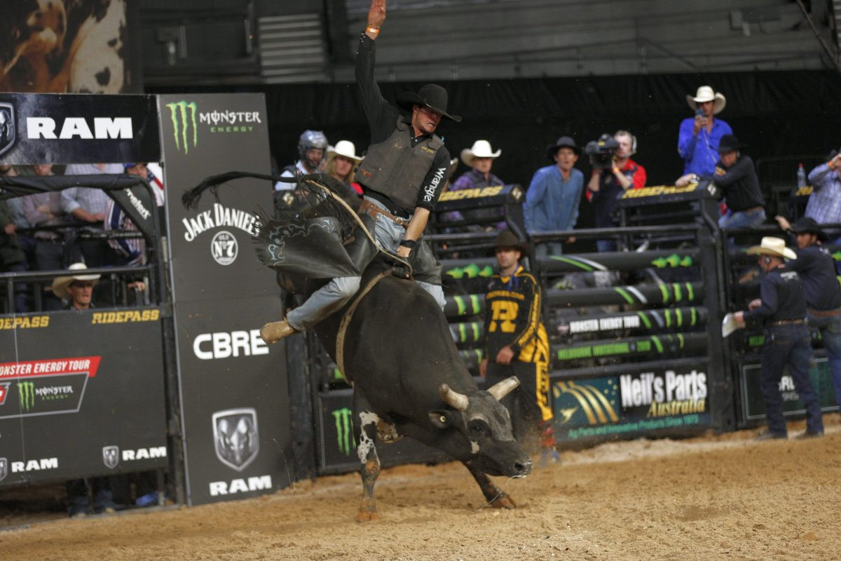Monster bull riding tour makes second appearance - feature photo