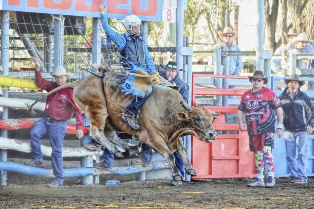 Local rodeo star takes on Wollongong - feature photo