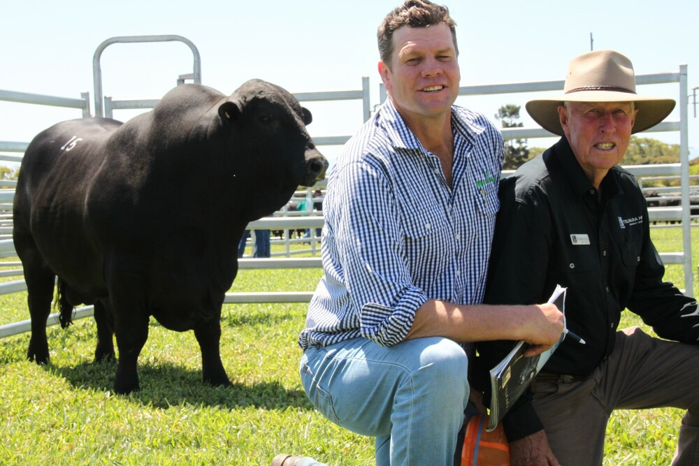 Will Caldwell of "Milwillah" New South Wales and Telpara's Trevor Pearce were happy with the Caldwell family's purchase of the 1075kg Telpara Mach Five 920R4, who commanded a new Australian Brangus sire record price of $150,000 at Tolga on Saturday.