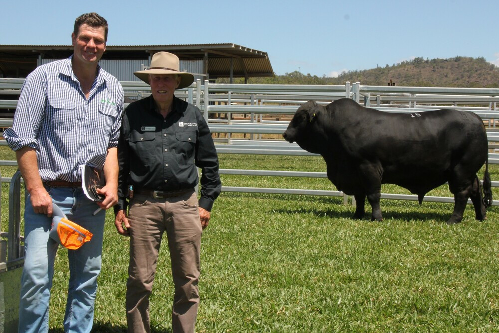 The $150,000 bull that caused all the fuss, TH Mach Five 920R4, pictured with purchaser Will Caldwell of "Milwillah Angus," New South Wales and Trevor Pearce of Telpara Hills Stud.